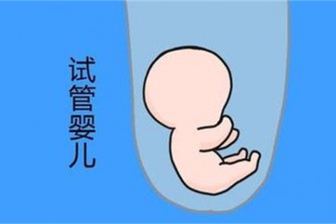 http://dongguan.vdtfzz.com/post/194.html|东莞新闻中心