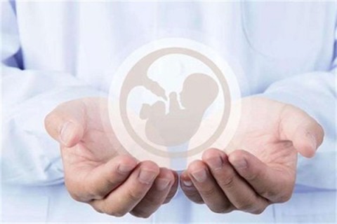 http://dongguan.vdtfzz.com/post/214.html|东莞人工试管